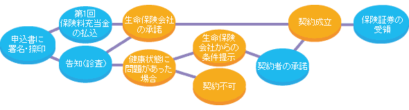 契約申込みから契約成立までの流れと重要事項 保険契約時のポイント 知っておきたい生命保険の基礎知識 生命保険を知る 学ぶ 公益財団法人 生命保険文化センター