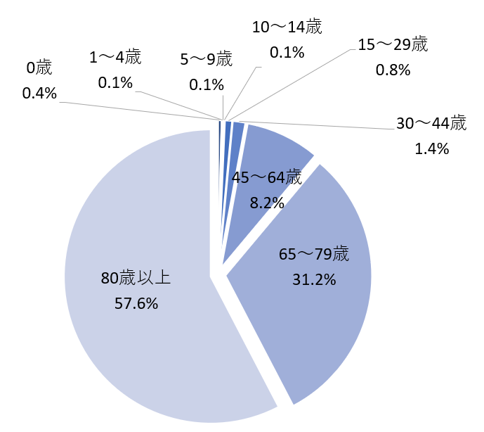 家庭内事故_年齢別割合2023