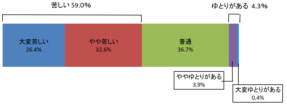 高齢者の生活意識2023